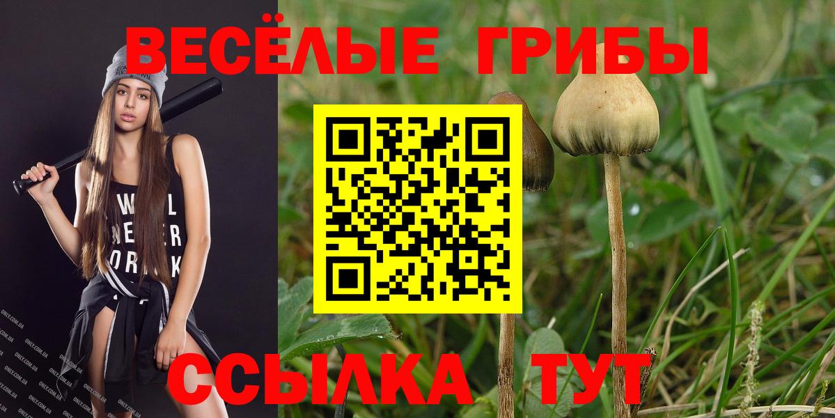 Галлюциногенные грибы мицелий Тверь
